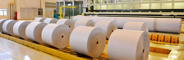 Paper industry